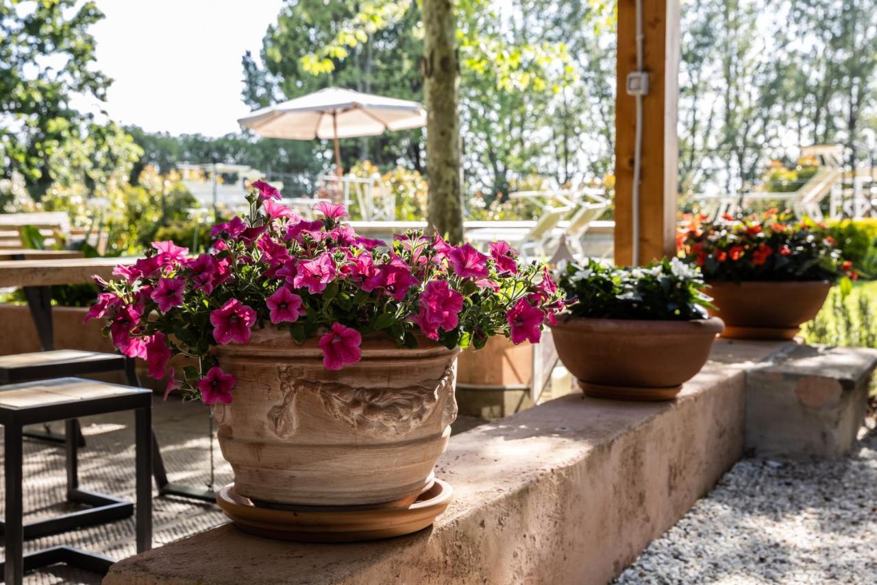 ピサ Vecchio Granaio Bed & Breakfast エクステリア 写真